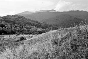 Bieszczady. Fot. Wojciech Lewandowski