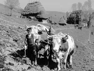 Fot. Jacek Zachara