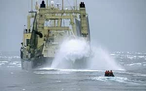 Załoga Sea Shepherd na nadmuchiwanej łodzi Zodiak ściga japońskich wielorybników na łodzi-przetwórni Nisshin Maru. Fot. Josh Gunn / Sea Shepherd