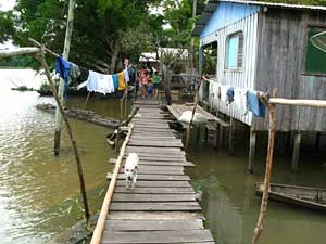 „Ulica” w Antonina. Fot. Stanisław Jaromi