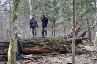 
Podczas realizacji filmu „W ostatniej puszczy Europy”. Ale takiego ujęcia Janusza, na zwalonym pniu, w filmie nie ma. Może ustawili się tak tylko do fotografii? Fot. Beata Hyży-Czołpińska
