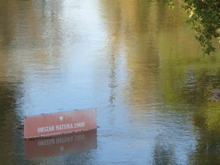 Wygląda na to, że „lepsze czasy” już były, nastał czas chaosu, który, jak wszystkich dziedzin życia, dotyczy także ochrony przyrody. Fot. Andrzej Jermaczek