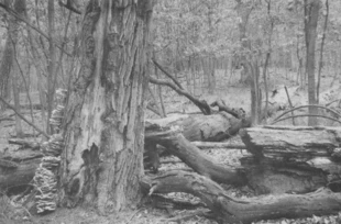 Fot. Katarzyna Barańska