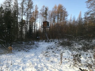 Ambona, nieopodal niej znajduje się paśnik i szlak turystyczny, rejon „Ostoi Czarnorzeckiej”, Pogórze Karpackie. Fot. Grzegorz Bożek
