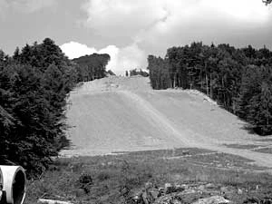 Jaworzyna Krynicka. Fot. Archiwum Popradzkiego Parku Krajobrazowego