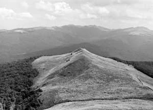 Bieszczady. Fot. Wojciech Lewandowski