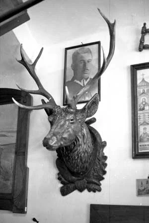 „Trofeum z bezkrwawych łowów”. Gipsowa głowa i zrzuty jelenia. Antykwariat Galicya, Nowy Sącz. Fot. Jakub Michalcewicz
