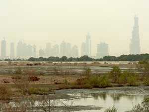 
Dubaj. Fot. Ryszard Kulik
