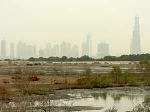 Dubaj. Fot. Ryszard Kulik
