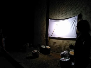 Noc w Miniarboretum – dokumentacja zdarzenia. Fot. Dariusz Galczak