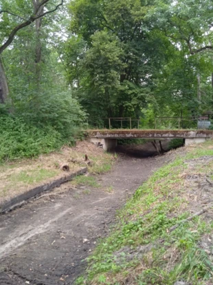 Wody w rzekach będzie brakować coraz częściej, na razie brakuje jej dla ryb i innych organizmów, ale wkrótce zabraknie jej także dla nas. Fot. Andrzej Jermaczek