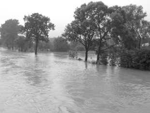 
Wisłok w czasie powodzi w lipcu i sierpniu 2004 r. Fot. Tomasz Ekert
