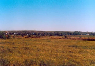 Rezerwat Hubale. Fot. Marcin Nowak