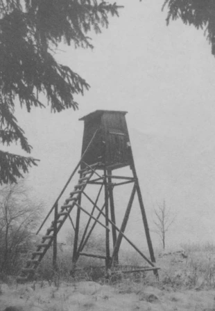 Ministerstwo Środowiska twierdzi w Internecie, że dzięki utworzeniu "strefy ochrony zwierzyny" w otulinie Drawieńskiego Parku Narodowego "koła łowieckie nie będą budować ambon na granicy parku". To hipokryzja, bo najwięcej ambon w regionie buduje i utrzymuje... Drawieński Park Narodowy, nie tylko zresztą na granicy, ale i w centrum Parku Narodowego. Fot. Archiwum