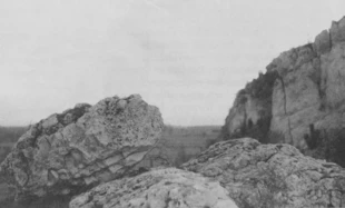 Fot. Krzysztof Mazurkiewicz