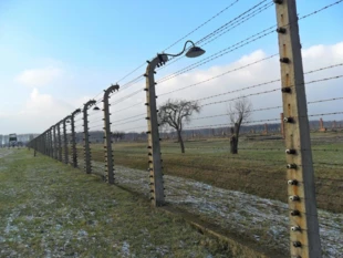 
Teren obozu Auschwitz-Birkenau II, Brzezinka. Fot. Dagmara Stanosz
