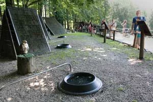 Strefa „ptaków ekspozycyjnych” na ścieżce edukacyjnej Leśnego Parku Niespodzianek. Fot. Mariusz Pajestka