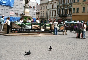 Akcja w obronie Kotarza w Cieszynie. Fot. Dominika Serzysko
