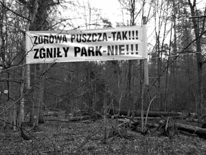 Transparent lokalnych przeciwników ochrony konserwatorskiej. Przez zdrową Puszczę rozumie się las wycinany, bez martwych drzew, 2013 r. Fot. Janusz Korbel