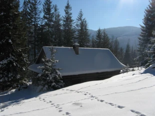 Zimowa cisza na stokach Romanki, Beskid Żywiecki. Fot. Radosław Truś
