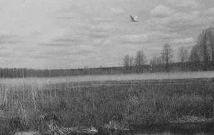 Tędy ma przebiegać droga ekspresowa. Fot. Adam Bohdan