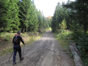 Wędrówka w naturze to zarazem wysiłek i wypoczynek. Fot. Grzegorz Bożek