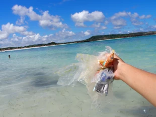 Sięgając do wody na dzień dobry można było wyłowić takie skarby... Pływanie w takiej wodzie było czymś obrzydliwym, ciężko jest myśleć co przeżywają wszystkie morskie zwierzęta, plaża na Lomboku, Indonezja. Fot. Aneta Szczepańska