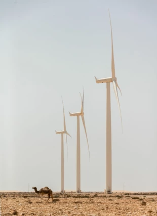 
Do 2030 r. Maroko zamierza produkować 52% energii ze źródeł odnawialnych, z czego po 20% ma być generowane z wiatru i słońca a 12% z energetyki wodnej. 300-megawatowa Tarfaya to jak dotąd największa lądowa elektrownia wiatrowa w Afryce. Fot. TEDxTarfaya, flickr.com
