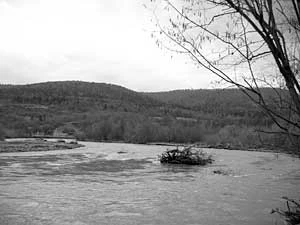 
Wisłoka. Fot. Bartłomiej Wadas beskid-niski.pl
