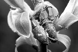 Fot. Piotr Morawski