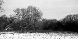 Kępa Bazarowa. Fot. Marcin Suhak