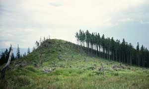 Góry Gurgiu, zrąb na grzbiecie głównym pasma. Fot. Łukasz Supergan