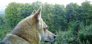 Skukam. Fot. Juraj Lukáč