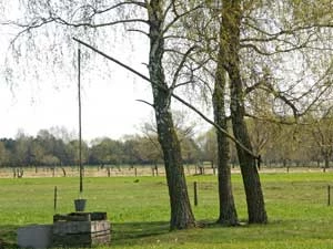 „Umiejętne” wykorzystanie elementów przyrodniczych do celów „kulturowych”. Fot. Jacek Żukowski