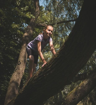 Czy pozwolić dziecku na chodzenie po drzewach? Fot. Tomasz Muc