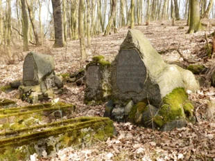 Fragment ocalałego cmentarza rodowego. Fot. Bartosz Świątek