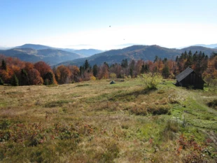 Barwy jesieni na Jasieniu, Beskid Wyspowy. Fot. Radosław Truś