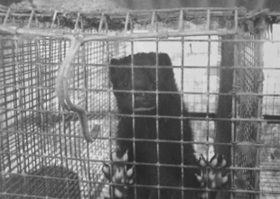 Fot. EF! Wielkopolska