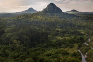 
Widok na zachodnią część parku Gorongosa z wzgórzami Bunga. Fot. Piotr Naskręcki
