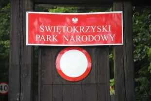 
W Świętokrzyskim Parku Narodowym obowiązują zakazy, które nie dotyczą zakonników. Fot. Łukasz Misiuna
