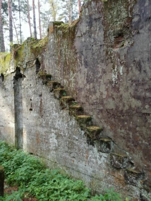 Fotografie zatopionej kopalni Bibiela na terenie Parku Przyrodniczo-Krajobrazowego Pasieki. Fot. Dagmara Stanosz