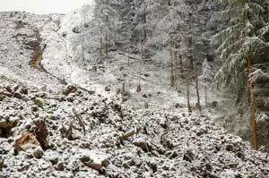 Przesunięte masy ziemi i ślady po wyciętych drzewach, 01.12.2012. Fot. Archiwum Pracowni