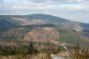Masyw Skrzycznego w Beskidzie Śląskim. Fot. Radosław Szymczuk