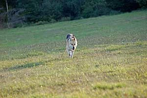 Skukam. Fot. Juraj Lukáč