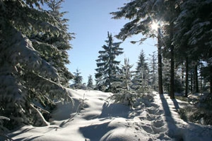 
Beskid Mały zimą. Fot. Radosław Ślusarczyk
