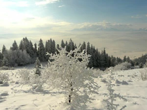 Widok na Polski Spisz. Fot. Ryszard Kulik