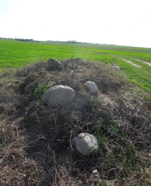 Węgłowy kopiec rozgraniczający łaznowskie (na lewo od drogi), nowińskie (u dołu przed kopcem) i popielawskie (na prawo pole w ostrej skibie) dobra (Dno Wolbórki); zdj. twórca, kwiecień 2024. Fot. Wojciech Wochna