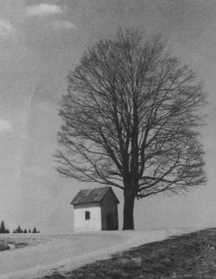 Kapliczka na Przełęczy Puchaczówka w Masywie Śnieżnika. Fot. Katarzyna Ciężkowska
