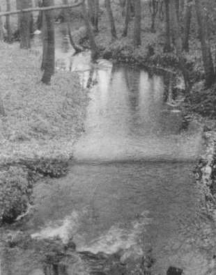 Fot. Krzysztof Mazurkiewicz