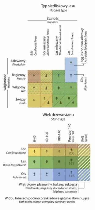 Na mapie przedstawione jest rozróżnienie lasów